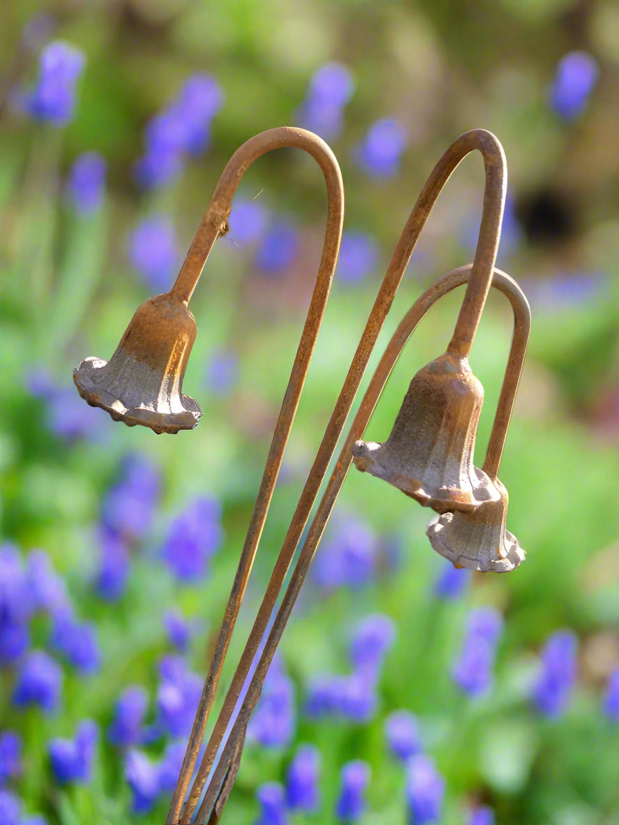 Close-up of rusty metal bluebell plant stands, showcasing detailed craftsmanship and weathered finish for decorative garden support.