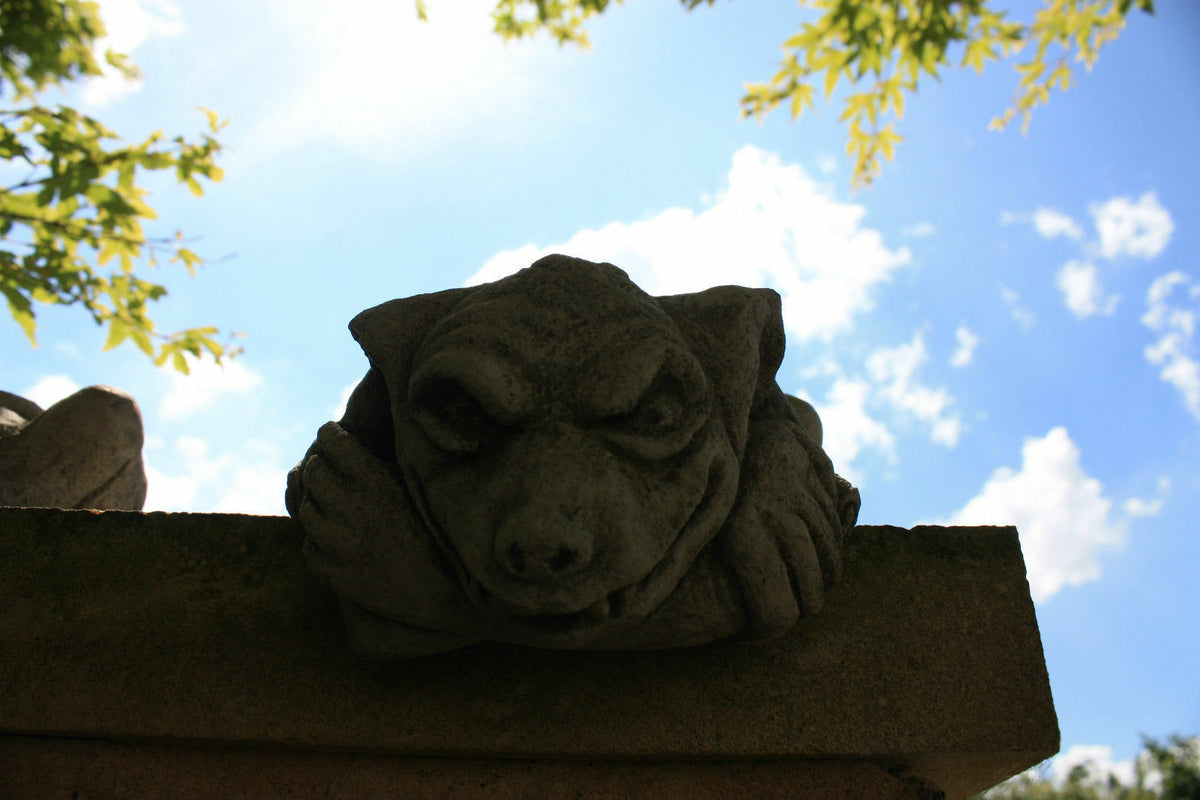 Front-facing Gargoyle Garden Ornament with fierce expression in durable stone design, mounted on a wall under a blue sky for striking garden decor.