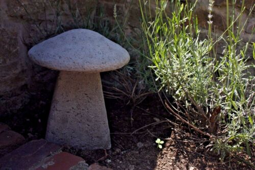 Durable Stone Staddle Toadstool Ornament nestled in garden soil near lavender. Weather-resistant garden sculpture for decorative outdoor styling.