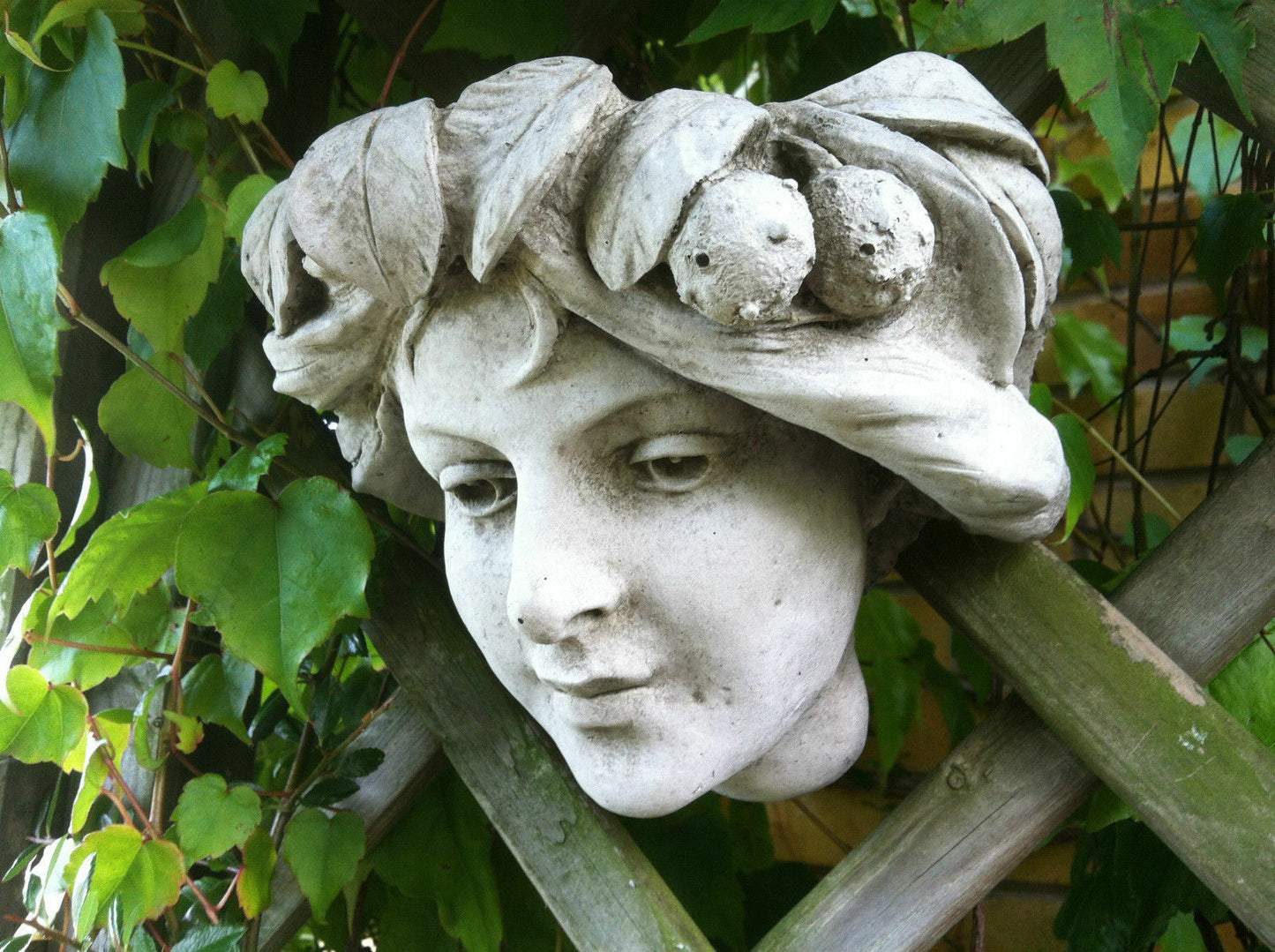 Stone Leaf Lady Planter Ornament with detailed female face and leaf garland, mounted on a garden wall trellis among green ivy leaves.