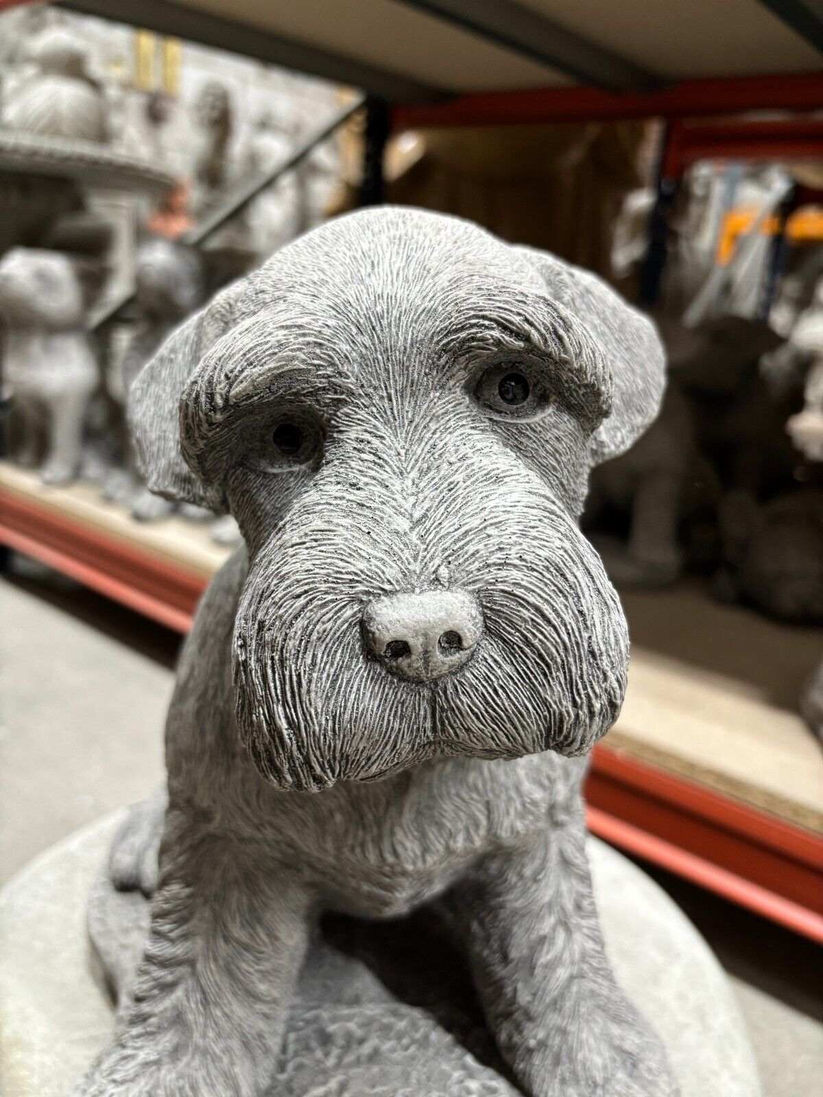 Close-up of the Stone Schnauzer Garden Statue showing intricate facial features and textured fur, crafted from durable limestone.
