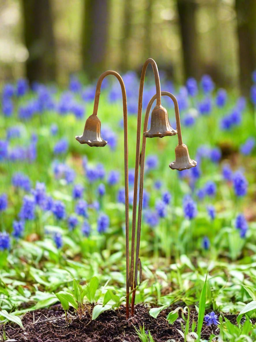 Set of 3 durable rusty metal bluebell stakes used as plant supports, blending into a vibrant garden with blooming purple flowers.
