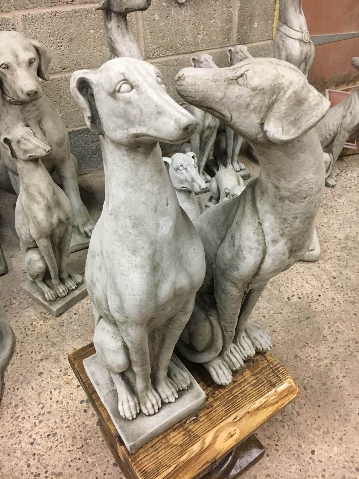 Pair of elegant greyhound garden statues in limestone finish, ideal for outdoor decor and lawn ornamentation. Weatherproof and detailed design.