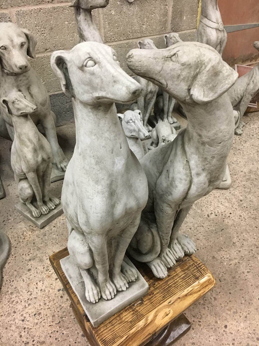 Pair of elegant greyhound garden statues in limestone finish, ideal for outdoor decor and lawn ornamentation. Weatherproof and detailed design.