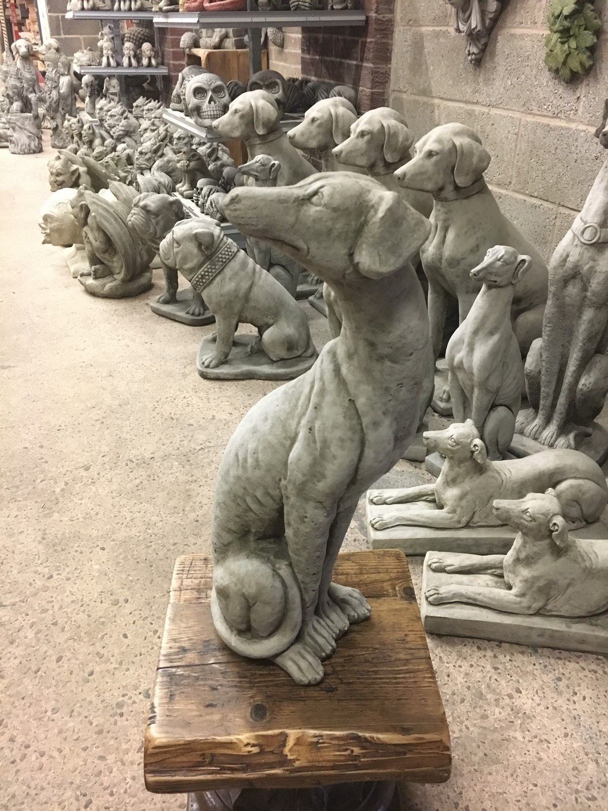 Single greyhound garden statue in seated pose on wooden base, crafted from durable limestone for elegant outdoor garden decor.