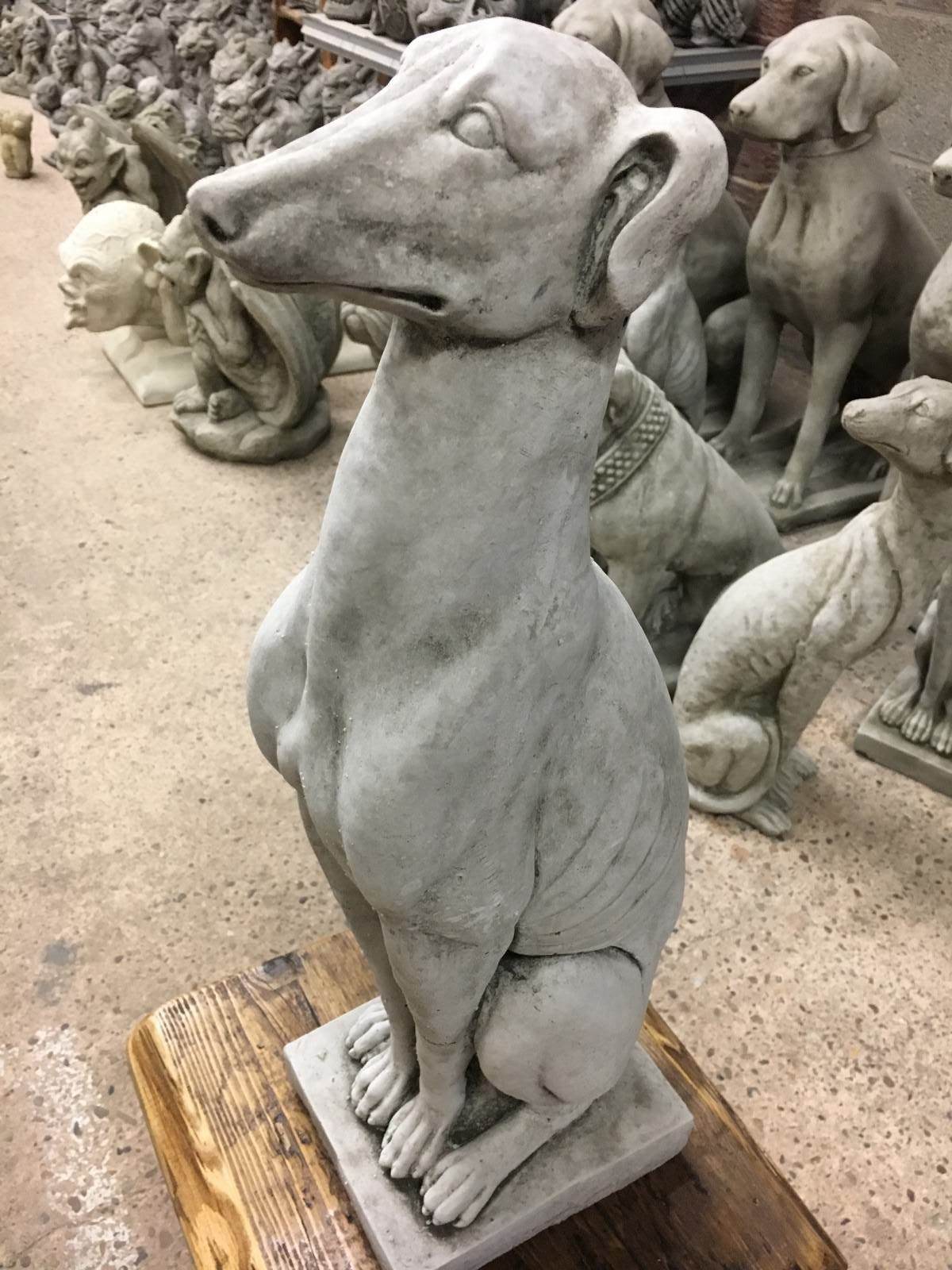 Close-up of a seated greyhound garden statue with fine detailing, made from weatherproof limestone for stylish lawn sculpture.