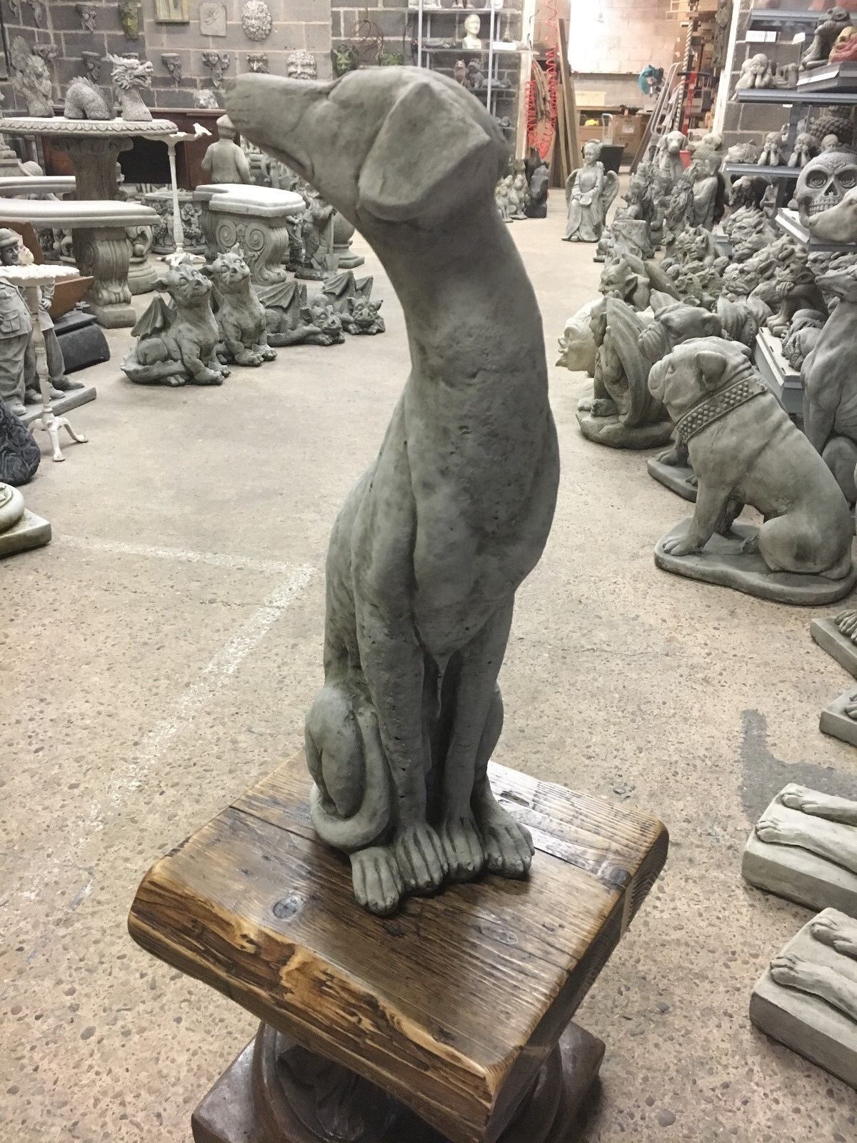 Angled view of a greyhound garden statue with elongated neck and poised stance, perfect for stylish garden sculpture.