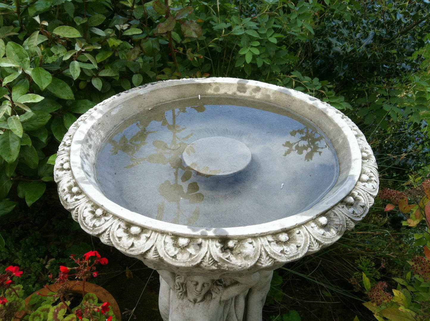 Top view of Three Graces Bird Bath with ornate floral rim and central raised perch, filled with water for birds.