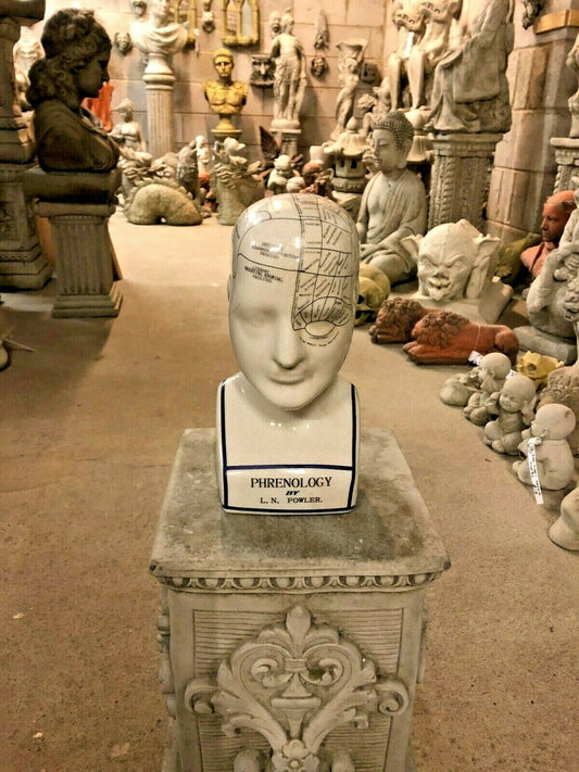 Phrenology Bust Ceramic - Ornament | Mindful Spaces Decor displayed on a pedestal among antique sculptures. Ideal for home or garden decor.