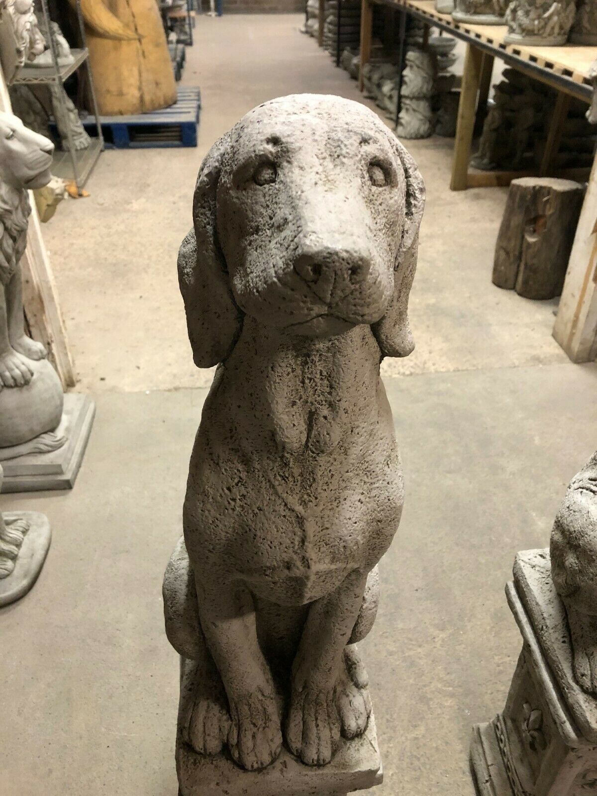 Front-facing Stone Hound Garden Statue with realistic features and antique finish, ideal for enhancing garden or patio aesthetics.