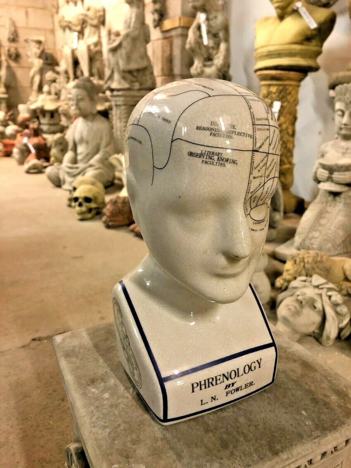 Side view of Ceramic Phrenology Bust Ornament showing detailed cranial sections. A unique decor piece for mindful and intellectual spaces.