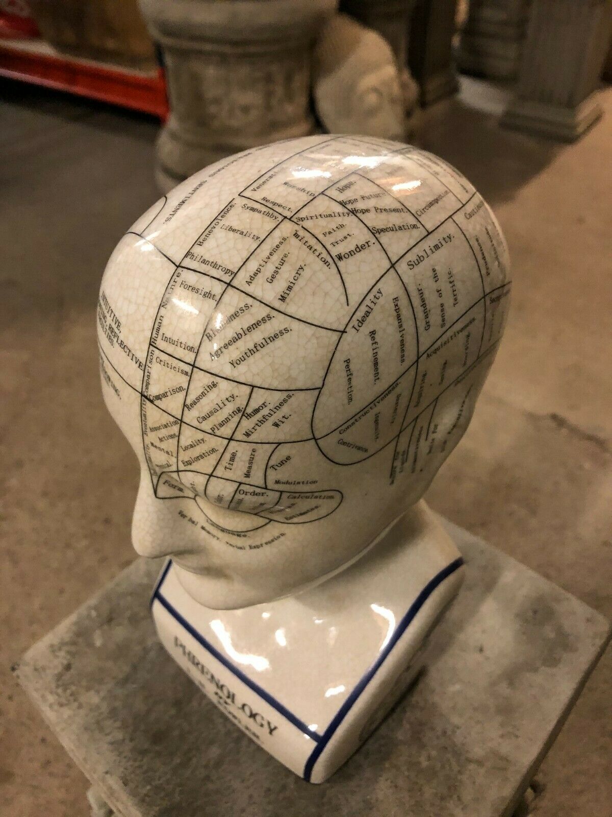 Close-up of Phrenology Bust Ceramic - Ornament with labeled brain faculties. Adds vintage charm to home or garden sculpture collections.