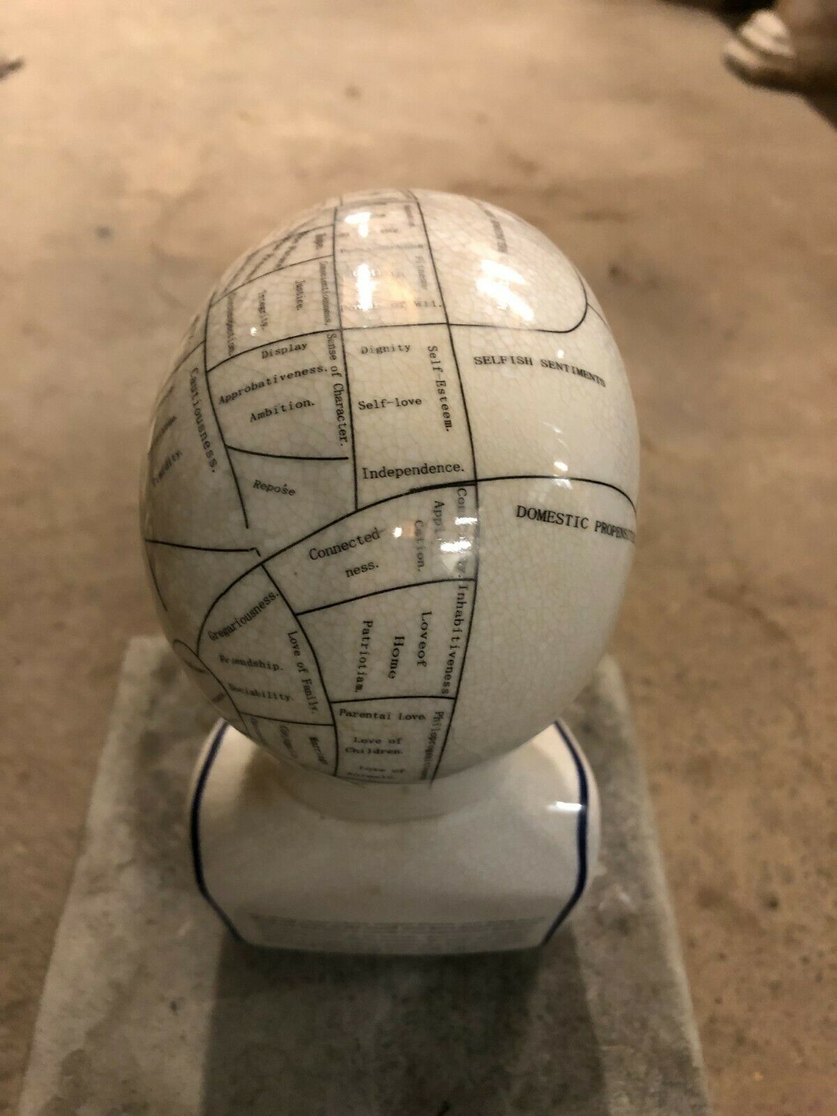 Rear top view of Ceramic Phrenology Bust Ornament showing labeled mental faculties. A decorative and educational piece for thoughtful interiors.