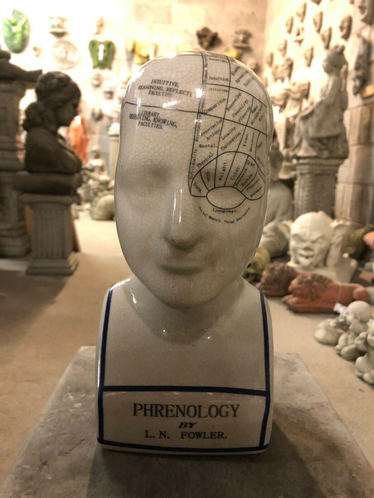 Front view of Ceramic Phrenology Bust Ornament by L.N. Fowler. Ideal for mindful spaces and collectors of antique-style decor.