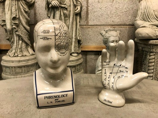Phrenology Decor - Ceramic Head & Hand Ornaments set on stone table with classical statues in background. Ideal for home or office decor.