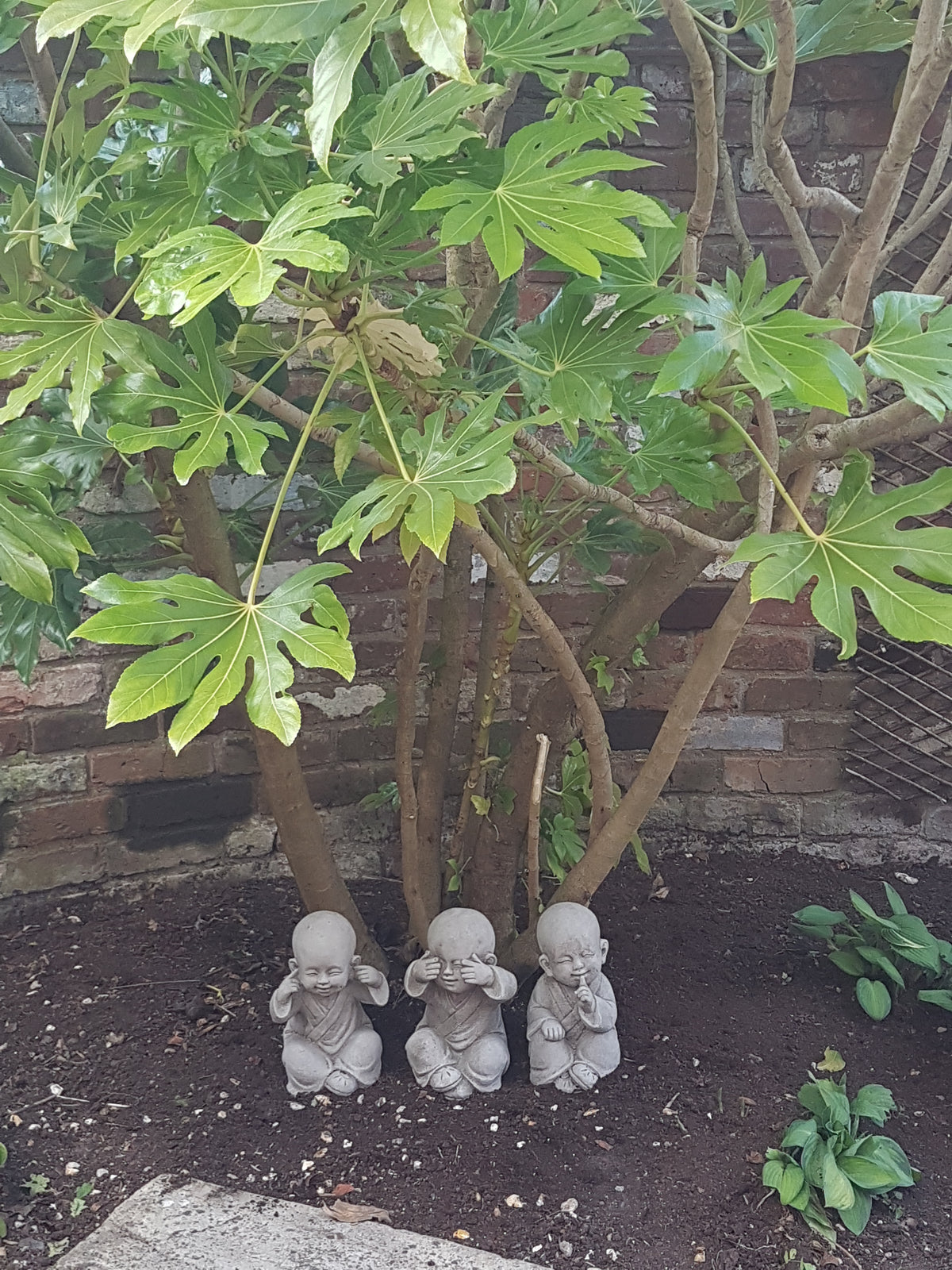 Stone Baby Monk Ornaments - See, Hear, Speak No Evil Set placed under a leafy tree, adding zen charm to garden landscape.