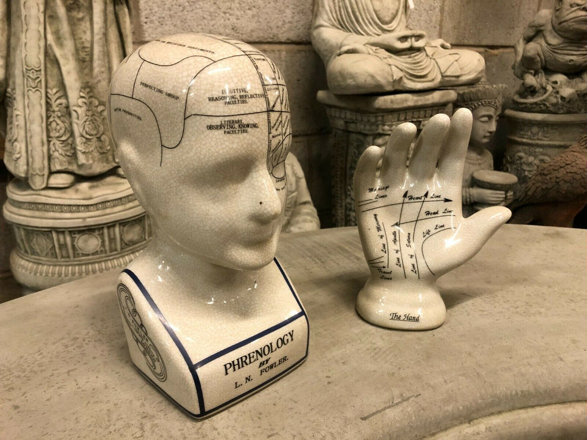 Elegant ceramic phrenology bust and palmistry hand figurine featuring detailed markings. Perfect for vintage-inspired home or office decor.