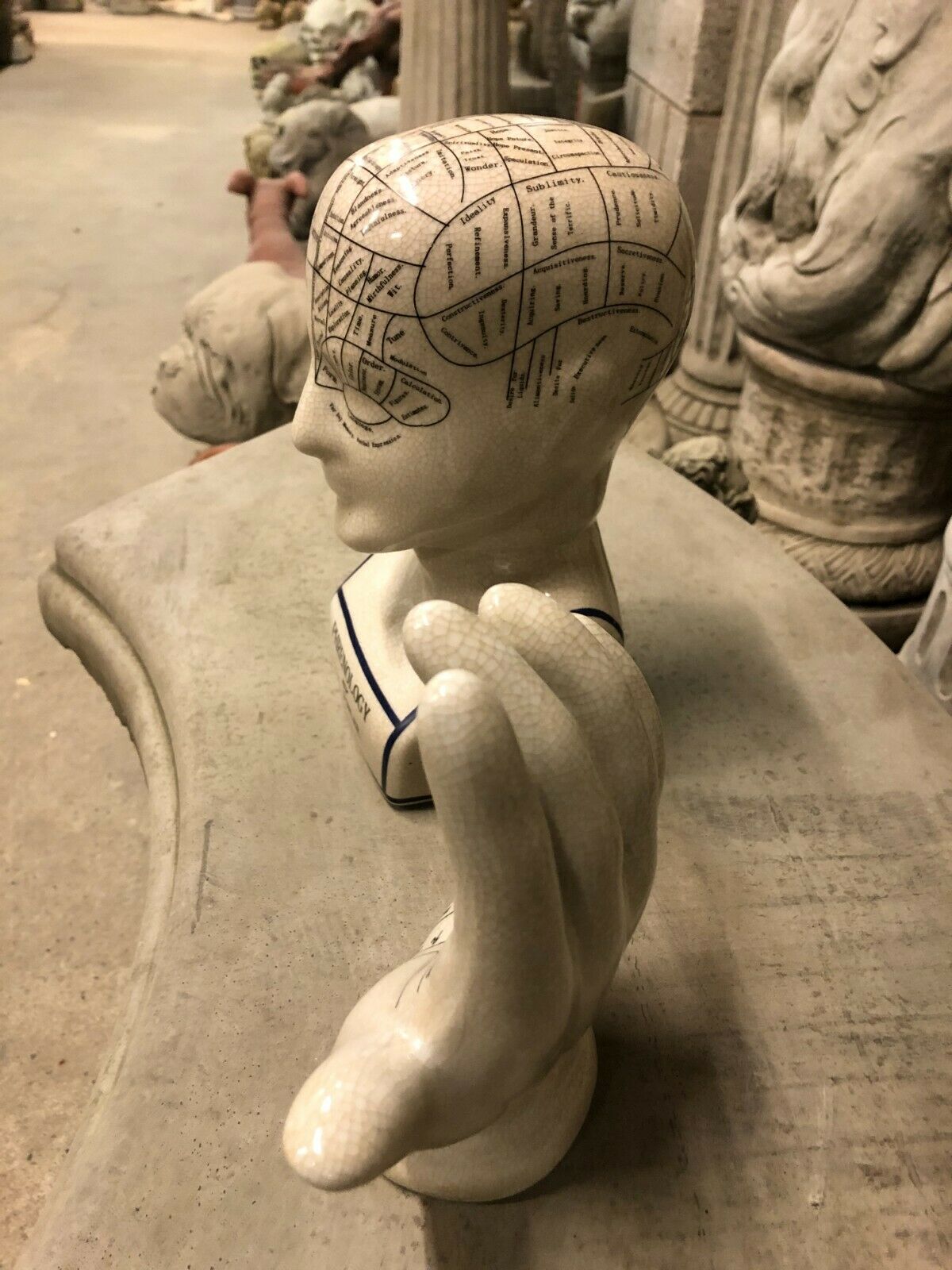Side view of ceramic phrenology head and hand ornaments on display. Adds antique charm to home or office interiors.