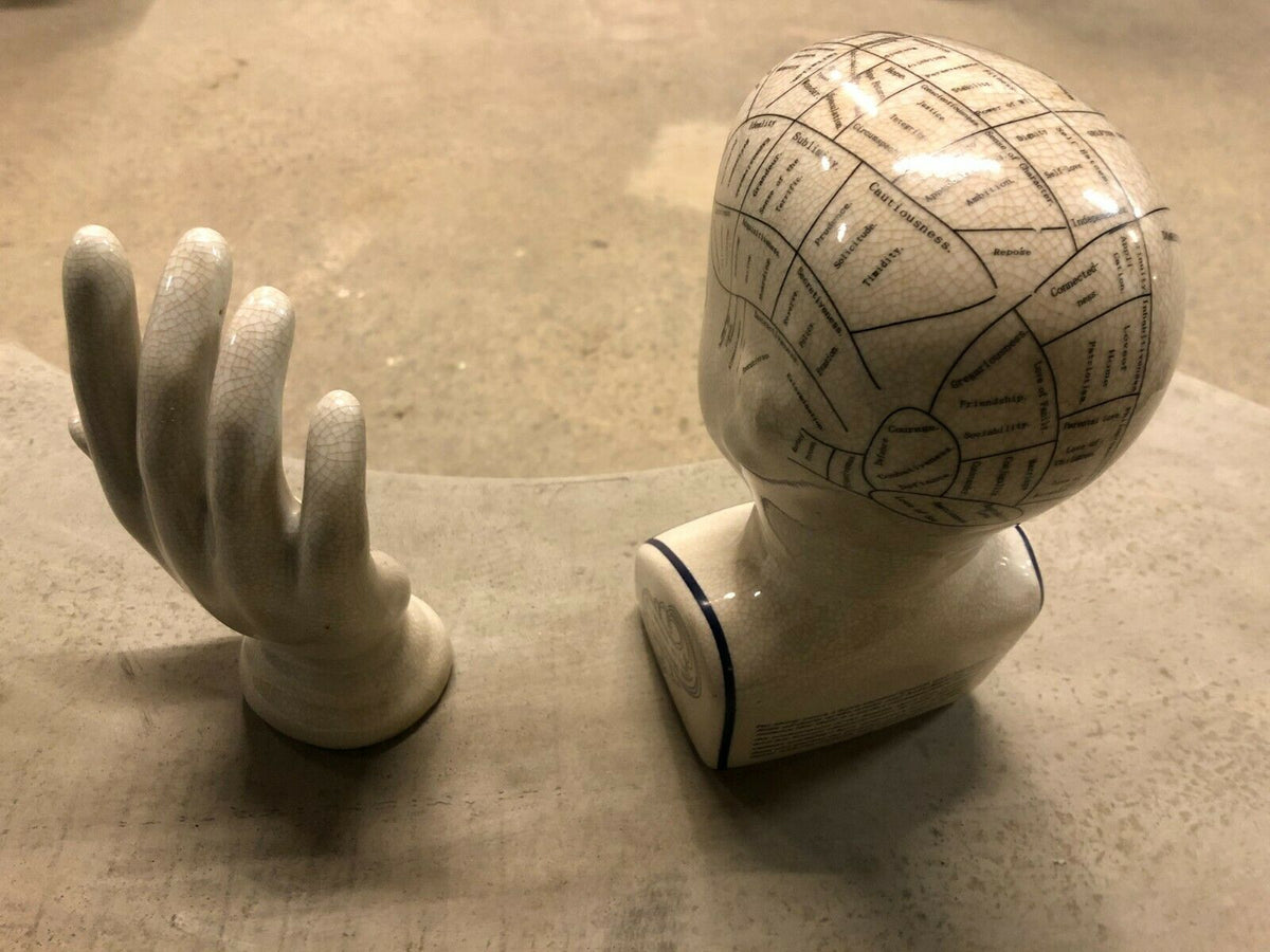 Top-down view of ceramic phrenology head and palmistry hand figurines. Ideal for collectors or vintage-themed decor.