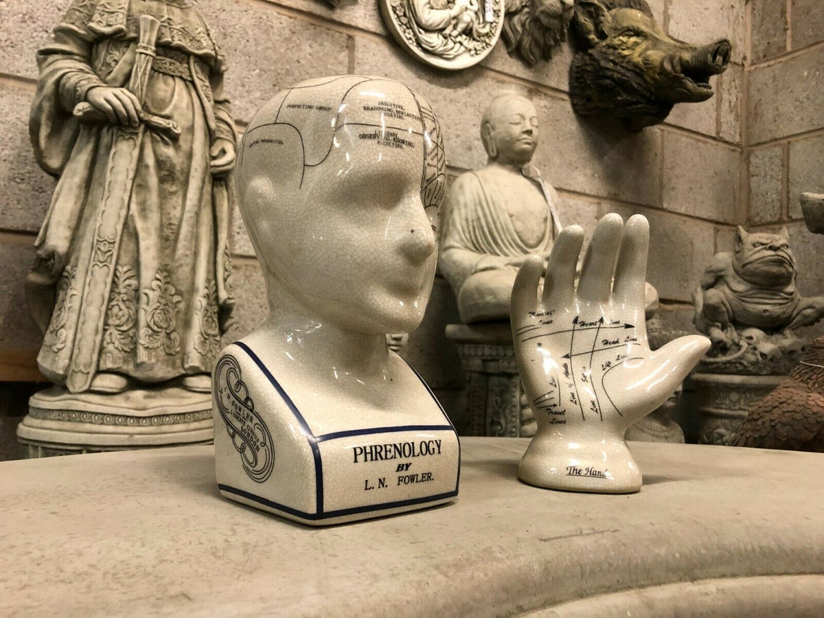 Phrenology Decor - Ceramic Head & Hand Ornaments displayed with classical sculptures. Great for eclectic or scholarly home decor.