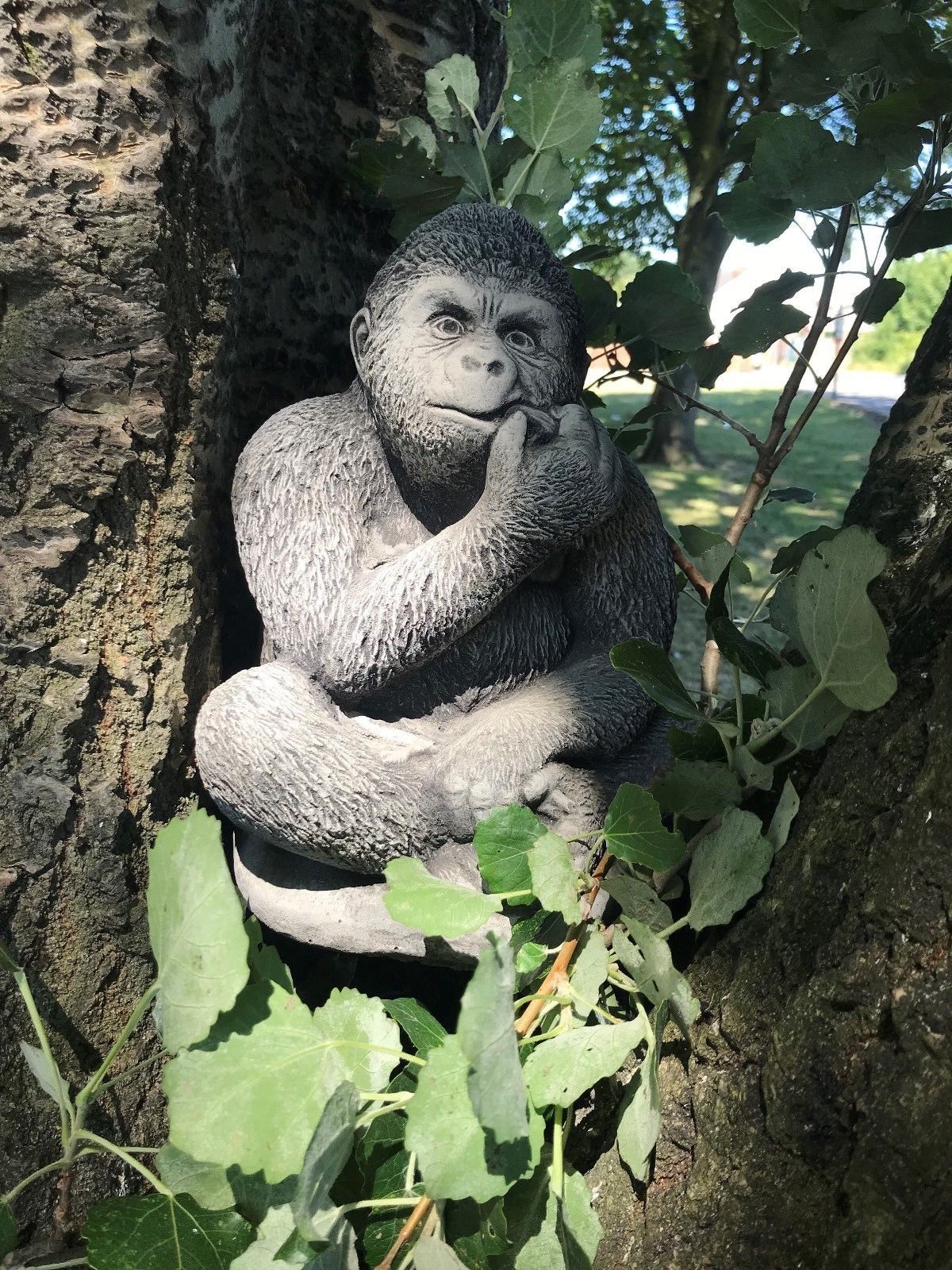 Small stone gorilla garden ornament with antique grey finish nestled between tree trunks, ideal for outdoor decor in lawns or flowerbeds.