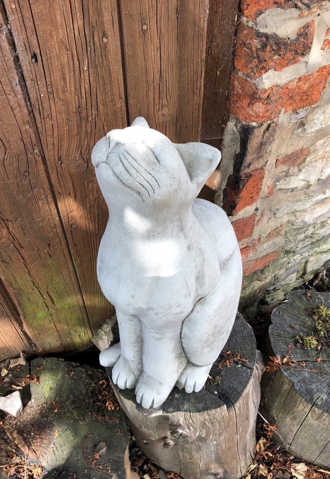 Top angled view of Stone Cat Garden Ornament - Durable Stone, showcasing proud expression and sturdy build for outdoor garden decor.