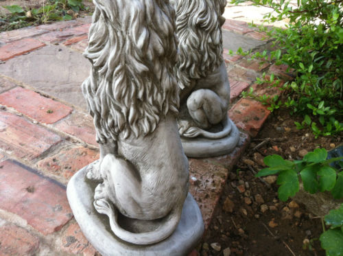 Rear view of detailed stone lion garden statues showing textured manes and tails, perfect for classic outdoor landscaping.