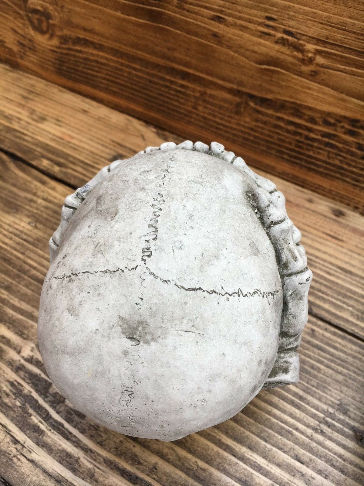 Top view of limestone skull garden ornament showing realistic cranial detailing and antique finish, part of the Hear, See & Speak No Evil set.