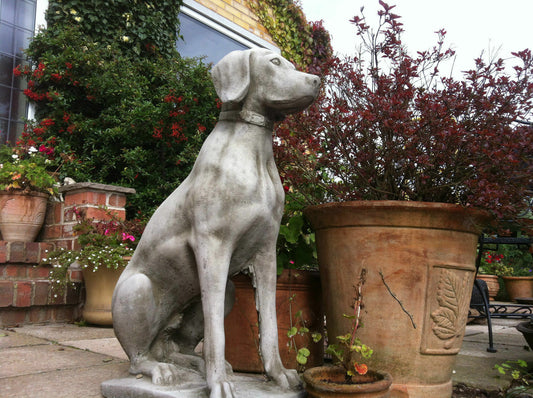 Garden Decor Pair of Stone Pointer Dog Statues in antique grey finish placed on a patio among terracotta pots and flowering plants.