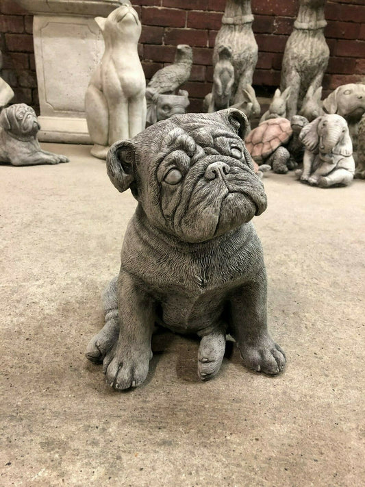 Durable Bulldog Stone Statue - British Puppy sitting upright with detailed facial features, ideal for garden or patio decor.