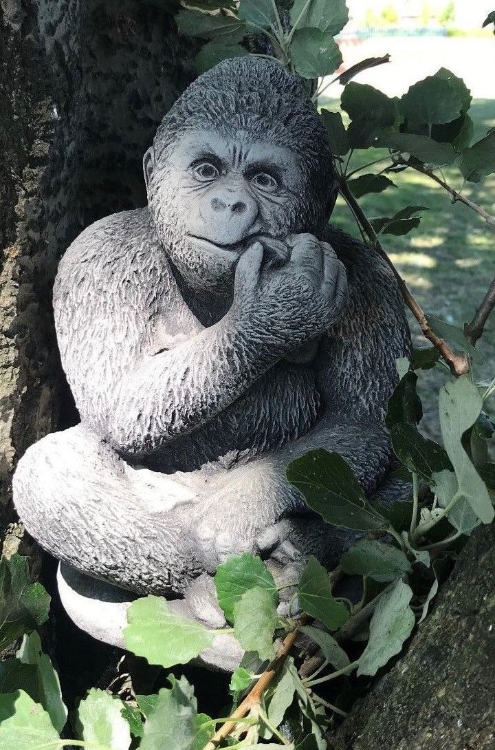Stone gorilla garden ornament tucked in tree branches, showcasing its antique grey finish and whimsical design for outdoor decor.