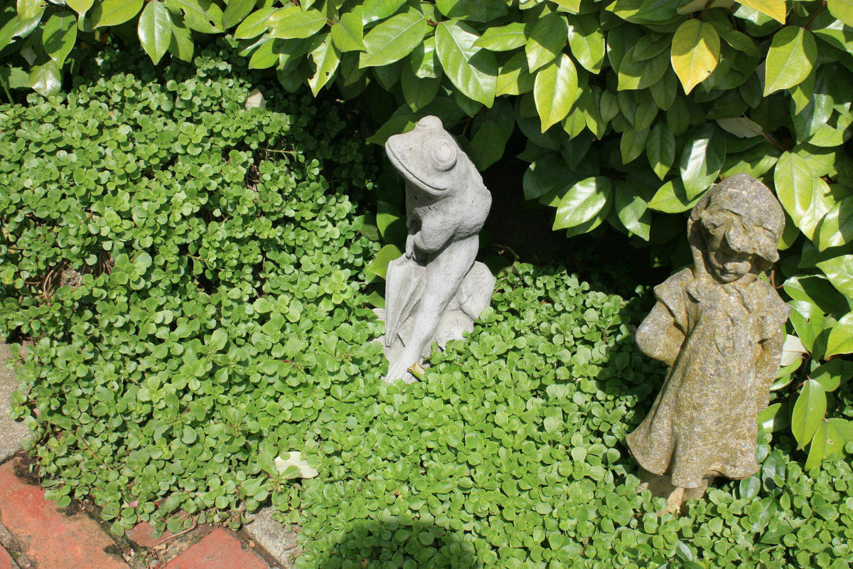 Elegant Stone Frog Garden Ornament nestled in ground cover foliage next to a child statue, adding whimsy to shaded garden corners.