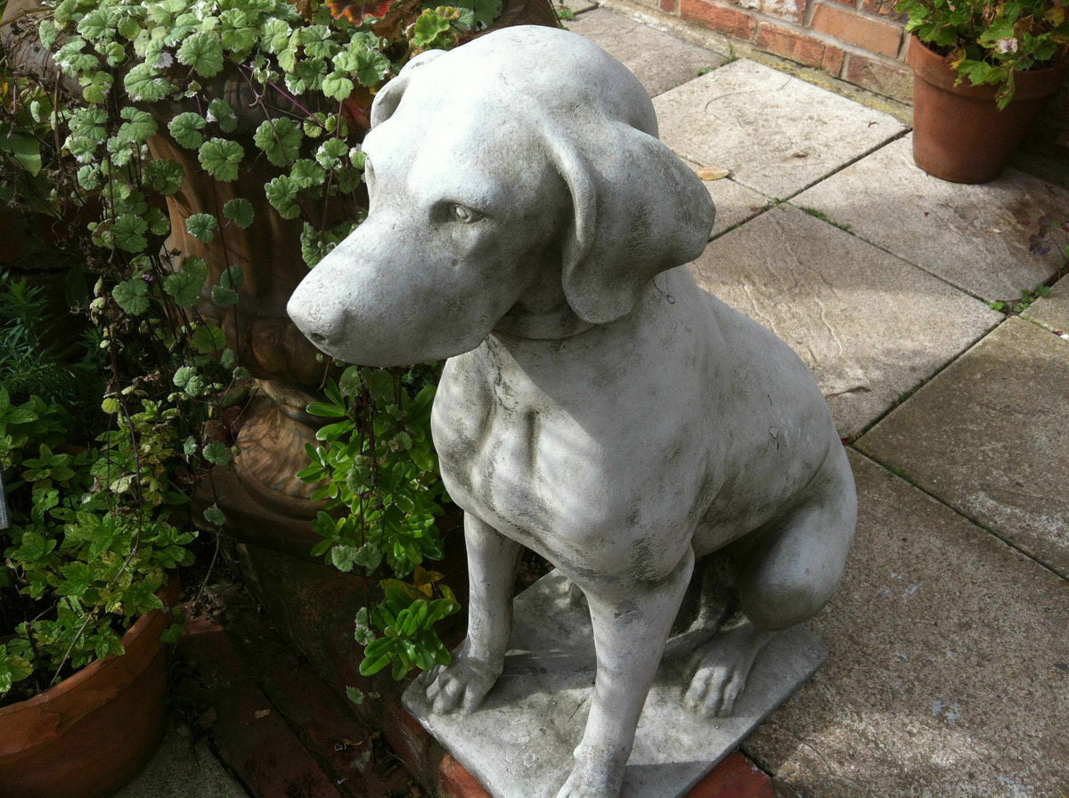 Close-up of a single stone pointer dog statue in antique grey, seated on a tiled patio surrounded by potted greenery.
