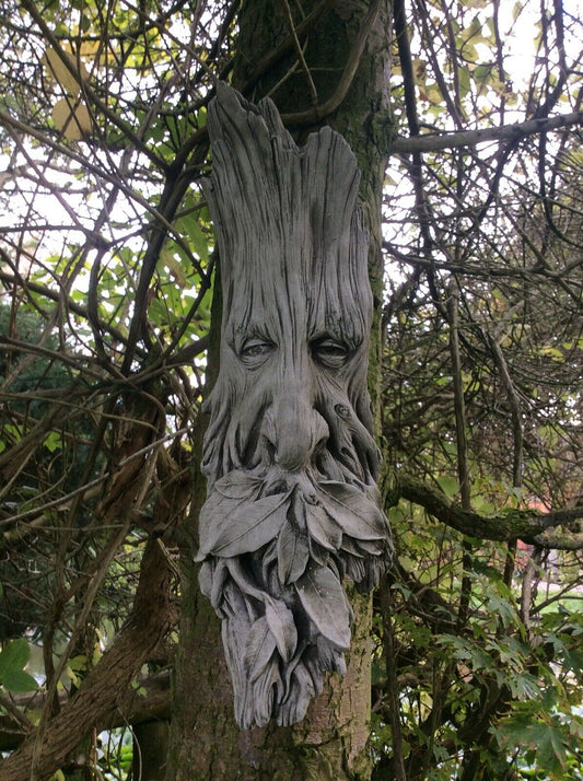 Greenman Plaque - Stone Leaf mounted on a tree, showcasing detailed facial features and leaf beard, ideal for outdoor garden decor.
