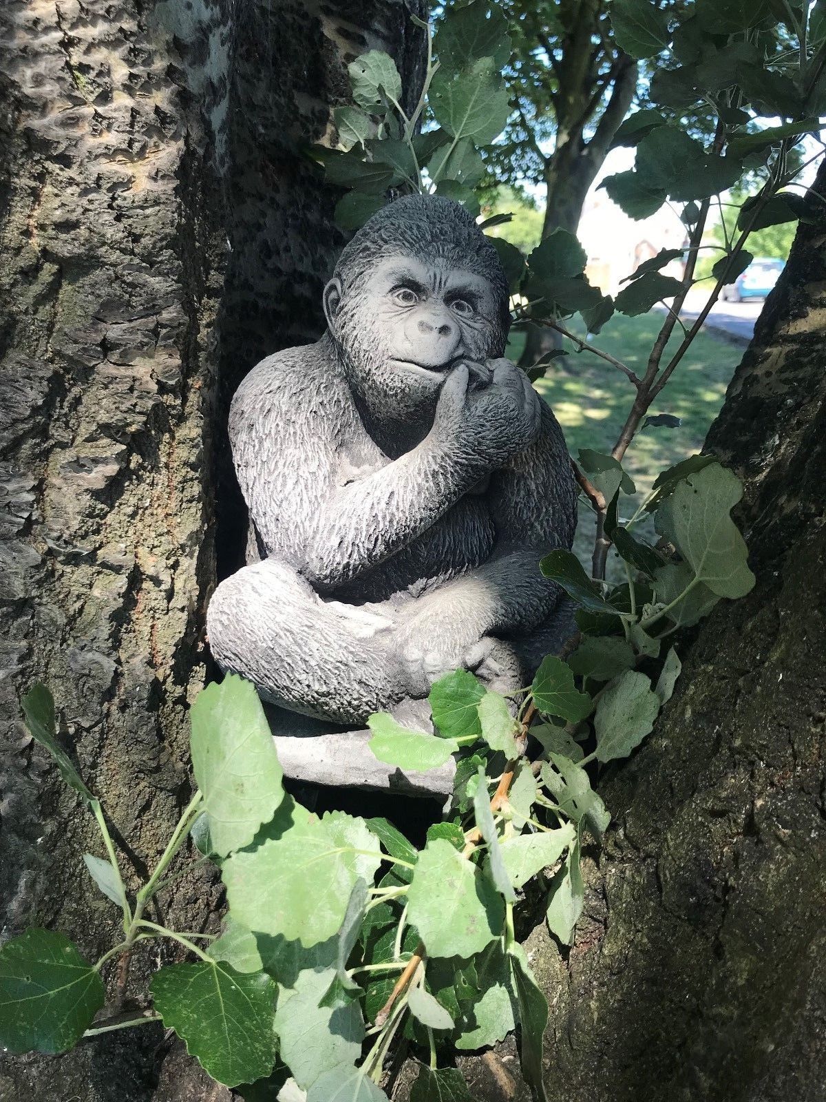 Whimsical stone gorilla garden sculpture with antique grey texture placed in tree nook, ideal for unique garden or lawn decoration.