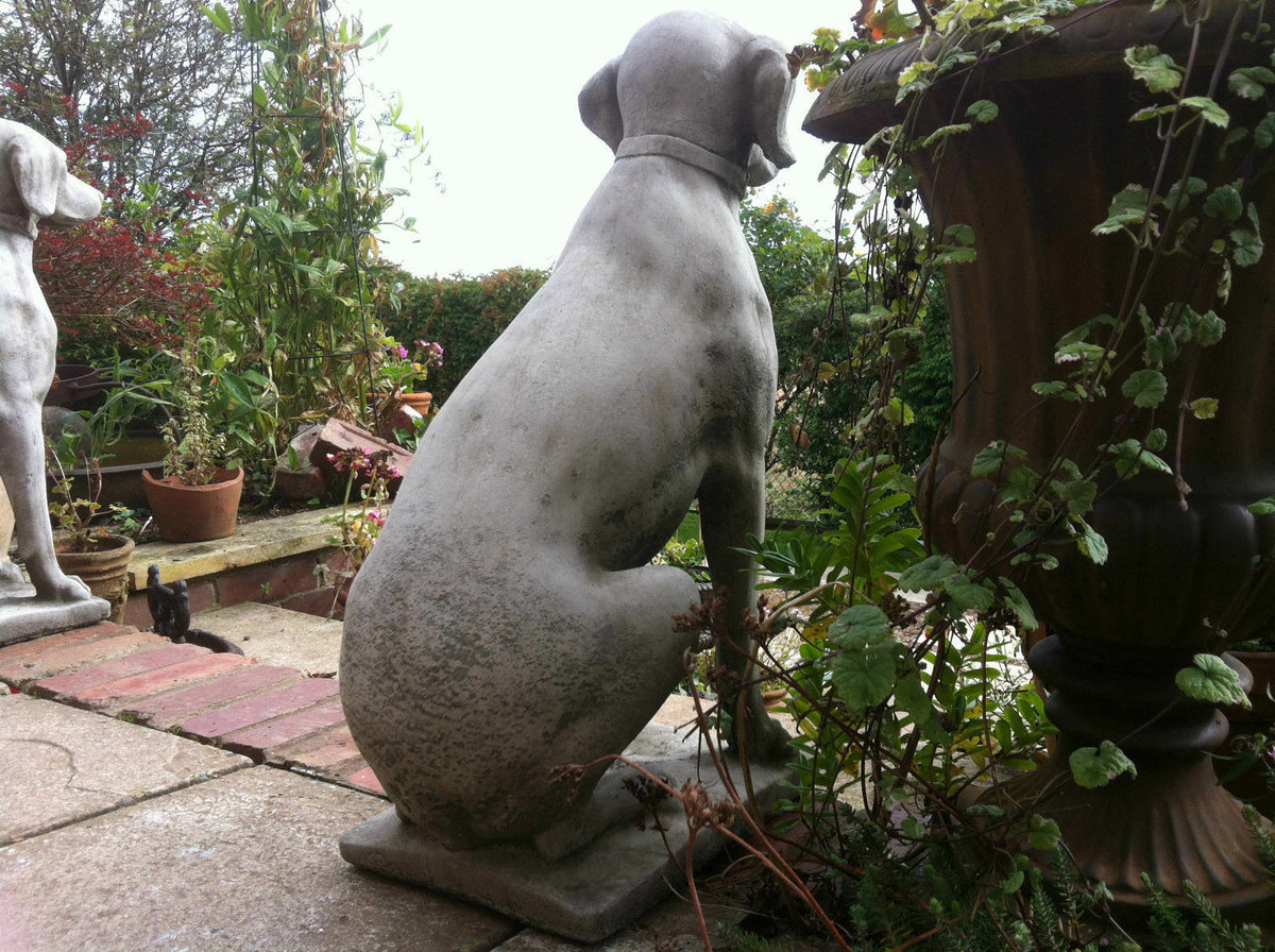 Rear view of a stone pointer dog statue in antique grey, positioned on a garden patio near a large decorative planter.