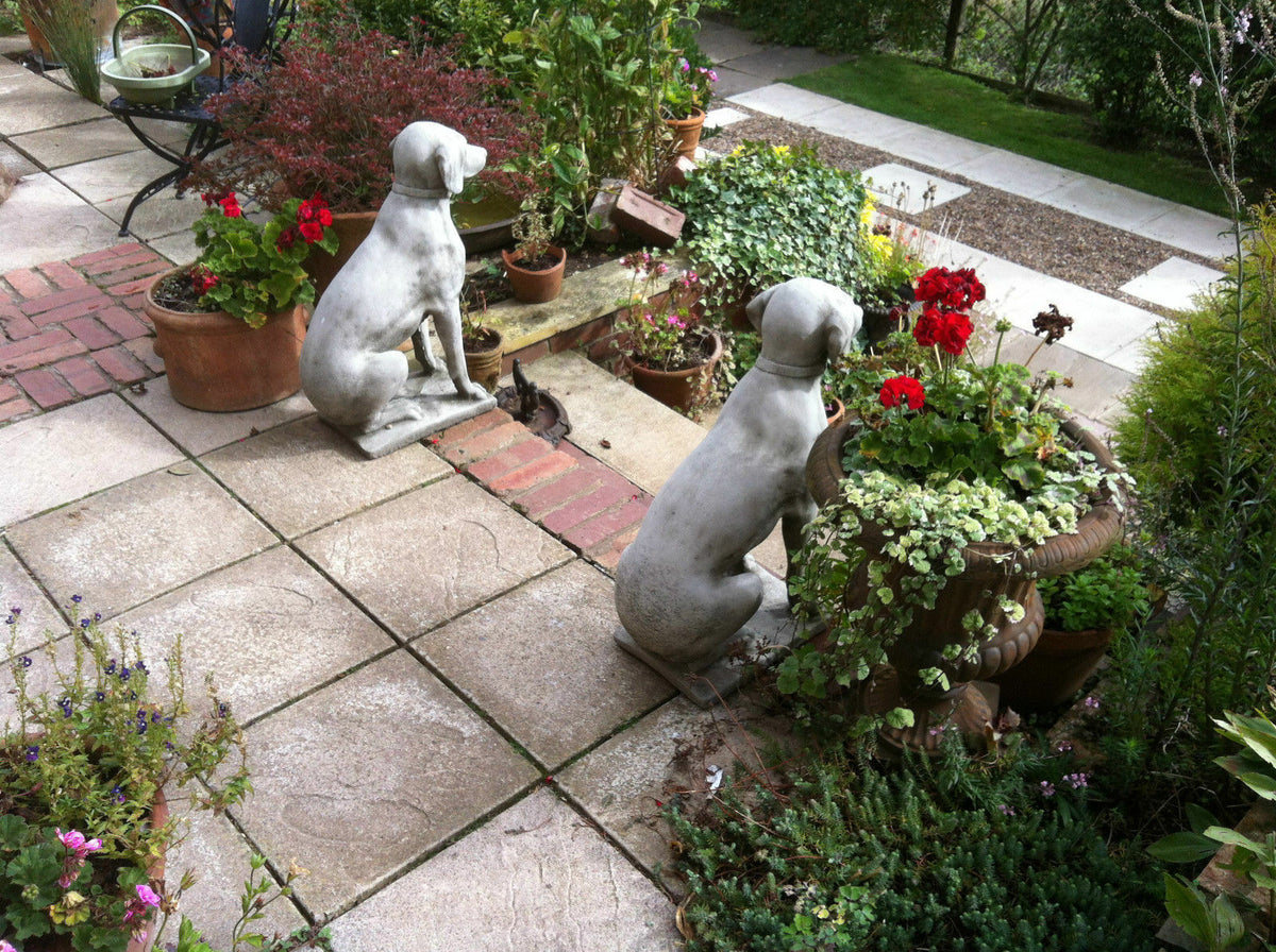 Pair of antique grey stone pointer dog statues guarding a garden patio with potted plants and red geraniums.