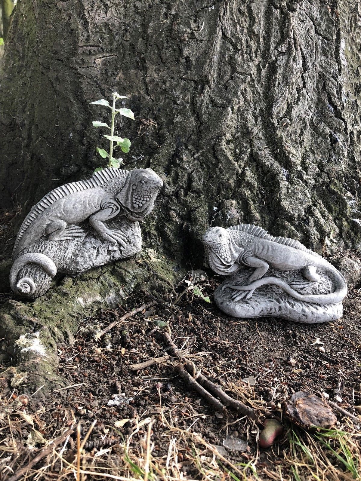 Pair of iguana stone ornaments displayed at tree base, from the Iguana Garden Ornaments - Stone Collection, perfect for outdoor decor.