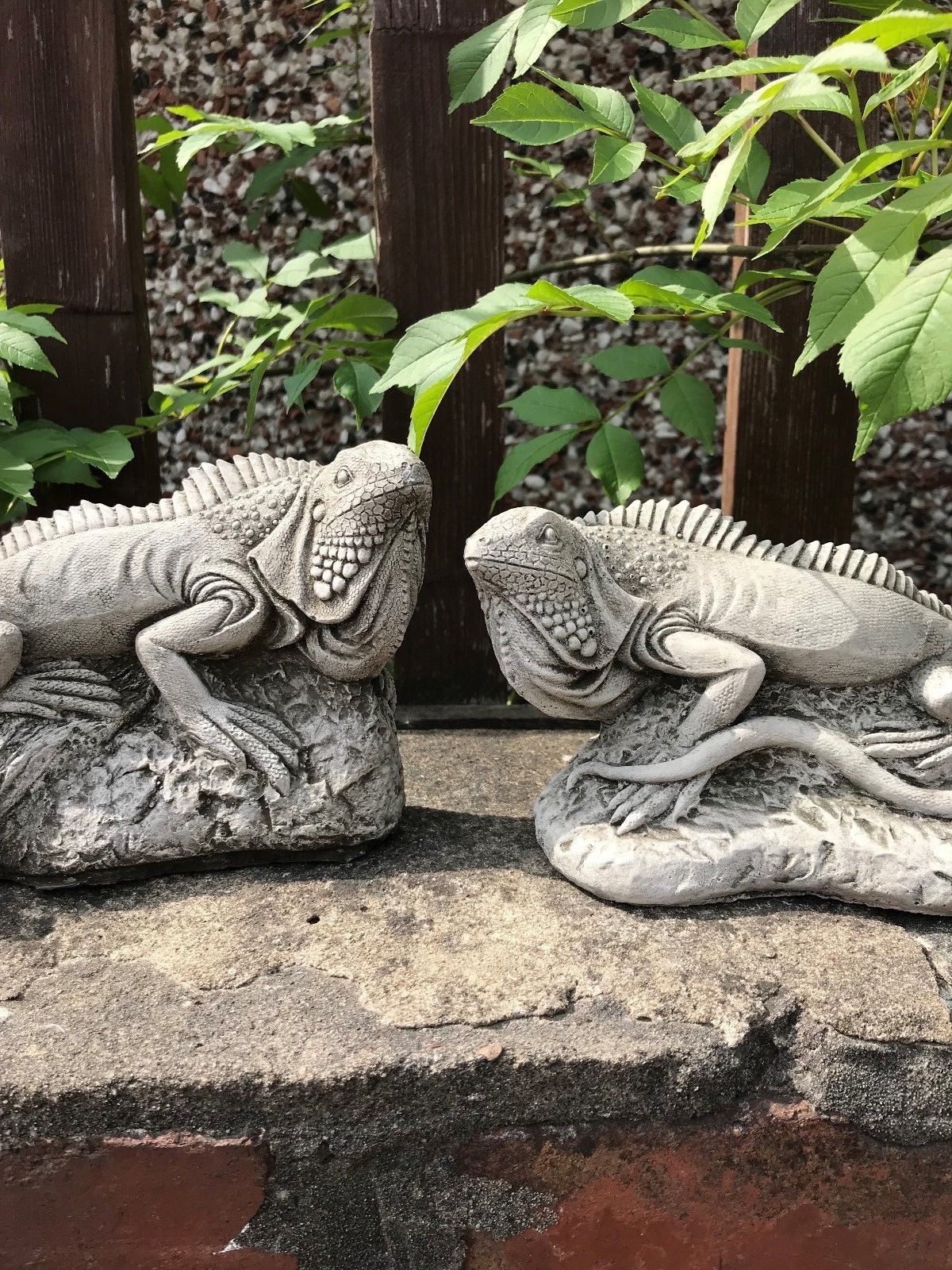 Matching iguana garden statues in stone finish on a ledge, part of the Iguana Garden Ornaments - Stone Collection for garden decoration.