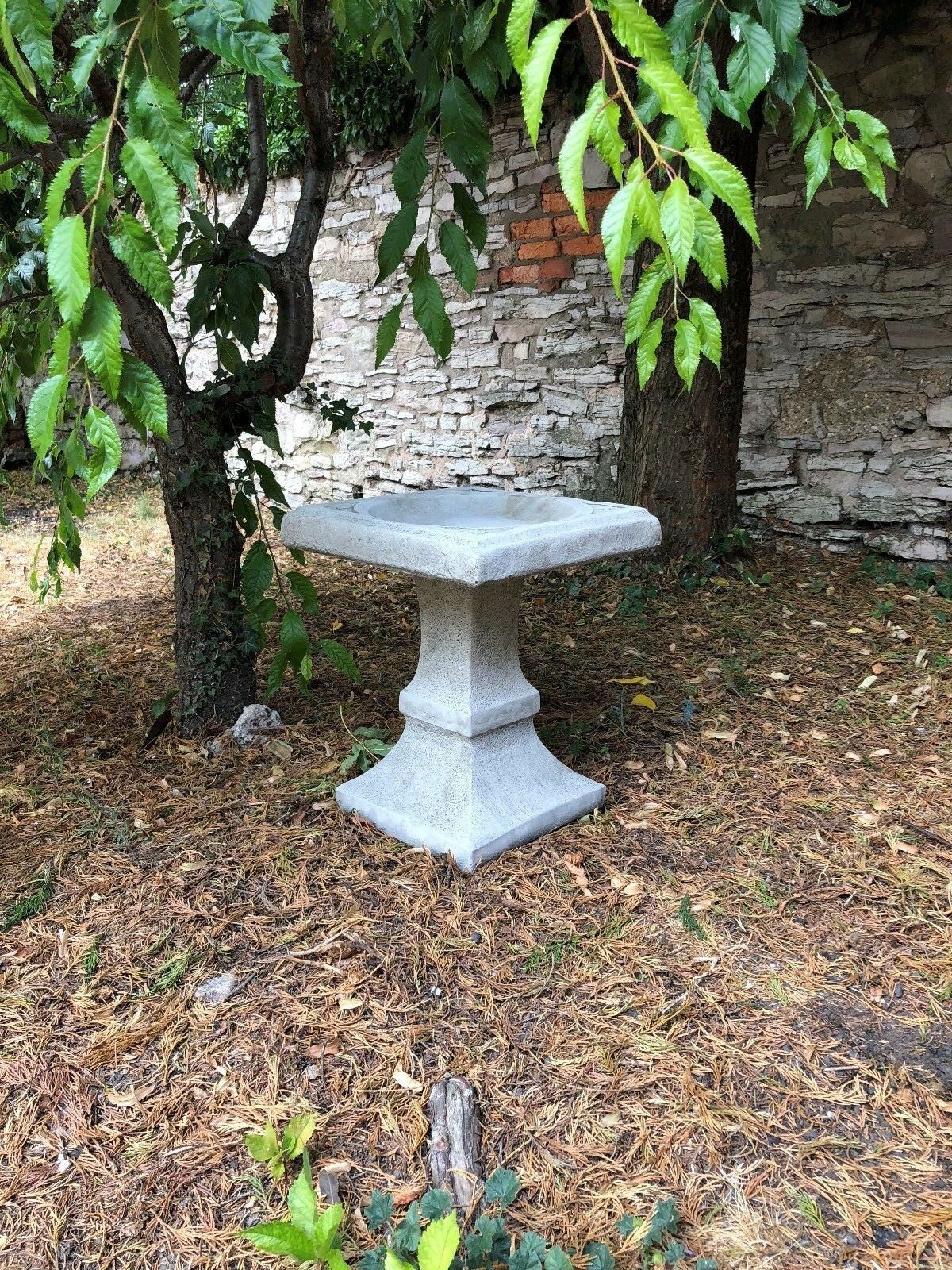 Stone Square Bird Bath placed under a tree, blending into natural garden surroundings, perfect for attracting birds and enhancing decor.