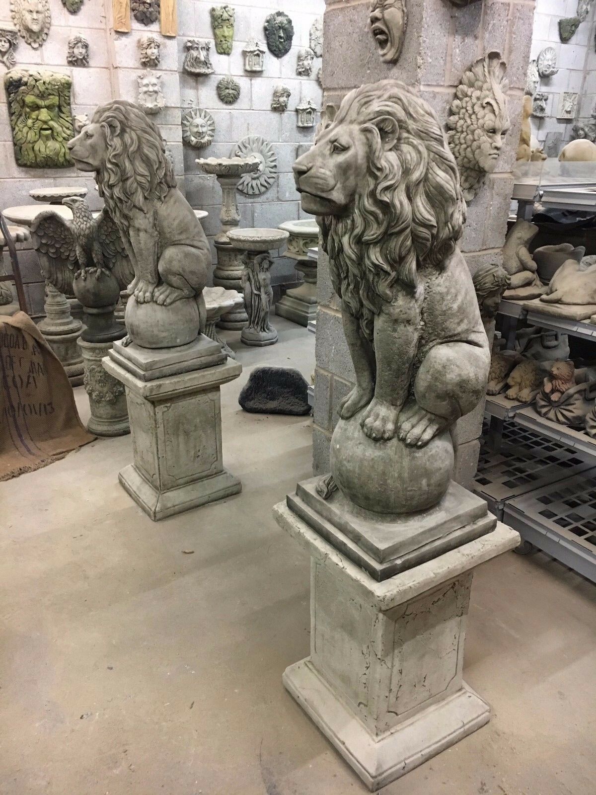 Pair of stone lion plinth statues with detailed manes and muscular build, ideal for outdoor garden decor or entranceway guardians.