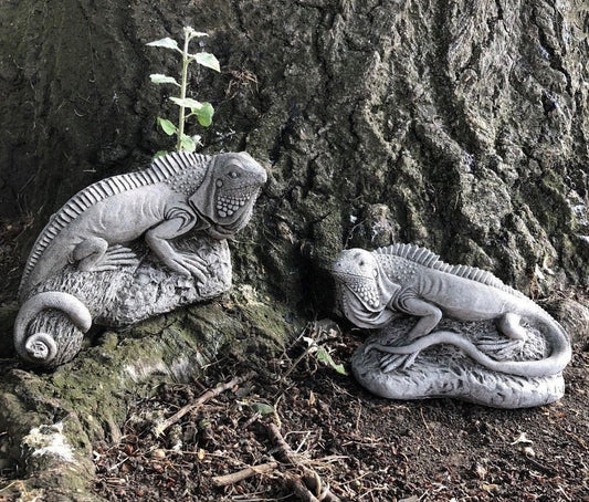 Pair of Iguana Garden Ornaments from the Stone Collection placed at tree base, showcasing lifelike detail and durable limestone for outdoor decor.