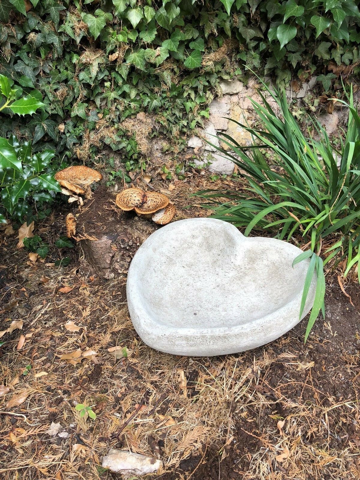 Heart-shaped stone bird bath/feeder for wildlife gardens, set among greenery and mushrooms. Perfect for outdoor garden decoration and bird care.