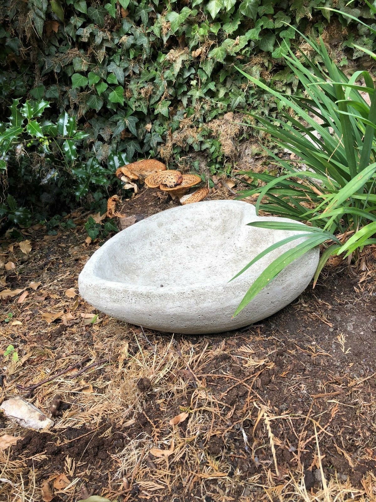 Side view of heart design stone bird bath/feeder in a natural garden setting. Made from solid limestone with antique grey finish for wildlife use.