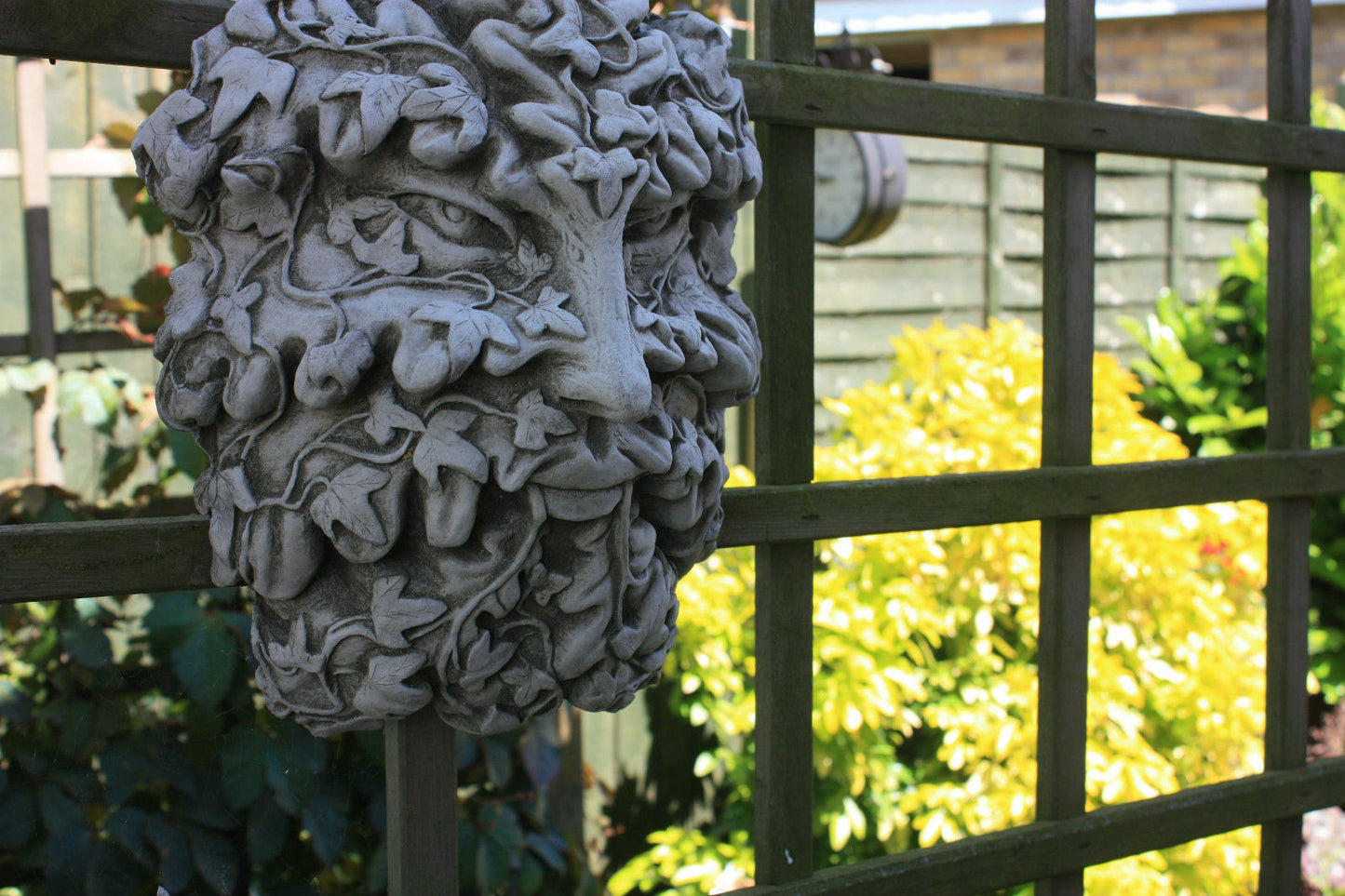 Detailed Greenman garden plaque with ivy leaf face design, crafted from durable limestone and displayed on wooden lattice.