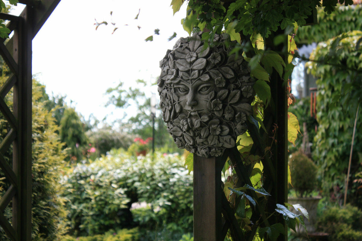 Greenwoman wall plaque with vine and leaf motif in antique grey finish, adding charm to a lush garden trellis.