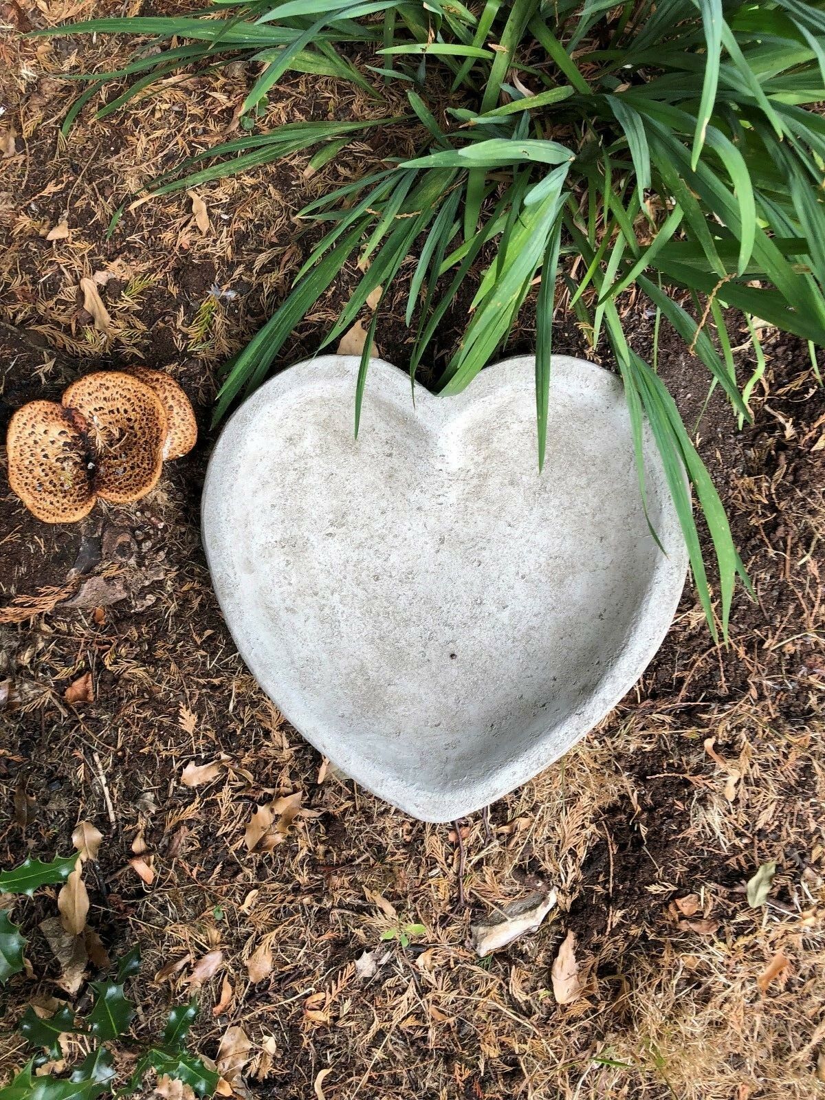 Top-down view of Stone Heart Design Bird Bath/Feeder in a garden bed. Durable limestone bath for birds, enhancing outdoor wildlife garden decor.