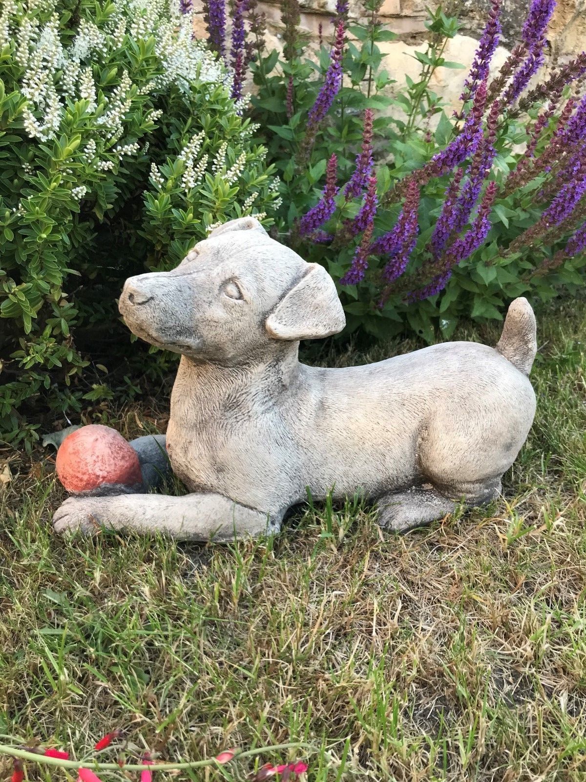 Durable Jack Russell Dog Garden Ornament made from weather-resistant stone, shown lying on lawn with red ball and lush garden plants.