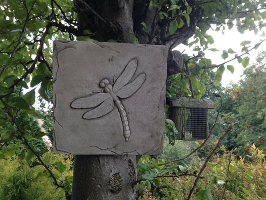 Dragonfly Wall Plaque - Stone Garden Decor mounted on a tree. Square limestone plaque with detailed dragonfly design for outdoor wall or tree display.