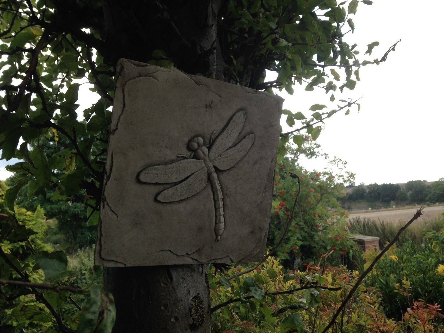 Rustic Dragonfly Garden Wall Plaque in antique grey stone. Durable square plaque ideal for garden walls, patios, or tree-mounted decor.